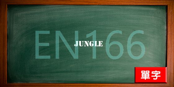 uploads/jungle.jpg